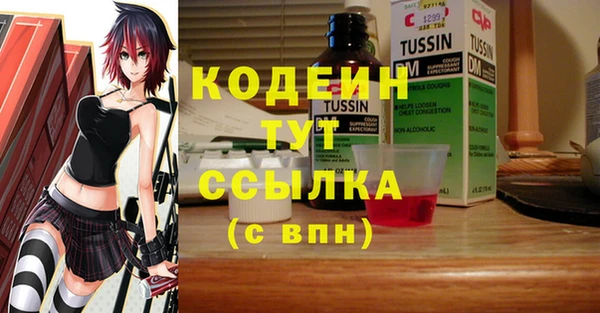 индика Балабаново