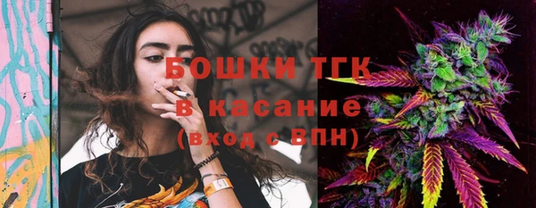индика Балабаново